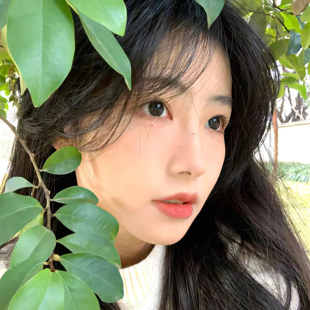 纽约转角遇到爱
