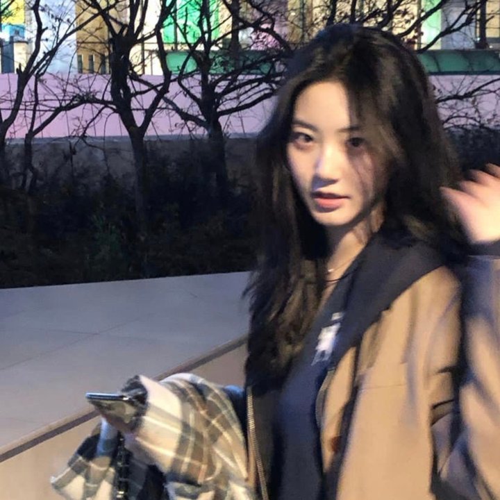 沙普的鹰饰